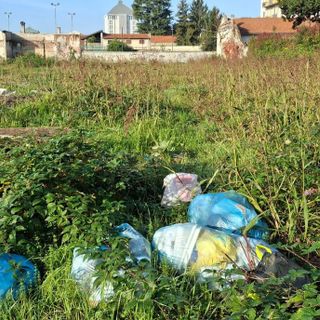 (Immagine di archivio)