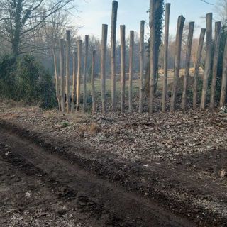 Crenna, tagli nel bosco e raccolta firme: il confronto tra cittadini e Parco del Ticino