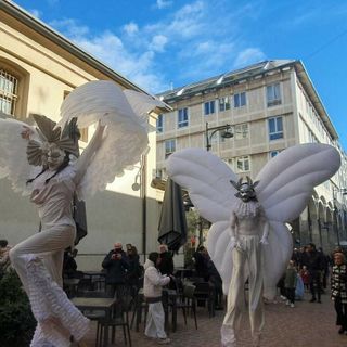 Dal Fringe Festival a Giorgio Rocca: Busto fra i cinque cerchi, fino all'ultimo