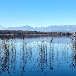 METEO. L'anticipo di primavera continua: «Giornate ben soleggiate e con temperature oltre la media del periodo»