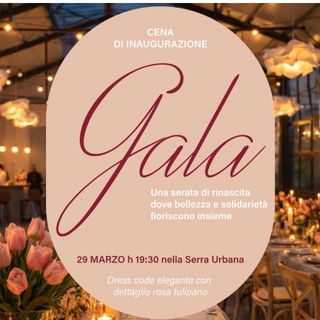 Un campo di tulipani, una cena di gala e un gesto di solidarietà: a Busto Arsizio nasce Tulilandia