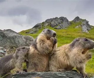 Nasce Family Cai Busto Arsizio: l’escursionismo diventa un’avventura per tutta la famiglia