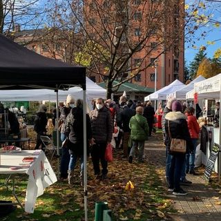 Domenica 18 giugno nuovo appuntamento col Mercato Contadino al parco Comerio di Busto