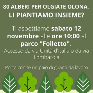 Ottanta nuovi alberi per Olgiate