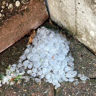 FOTO. A Marnate alberi e pali abbattuti dal maltempo. Allagata via Lazzaretto, problemi al cimitero