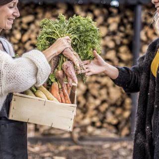 &quot;Alveritivo&quot; di primavera a Busto