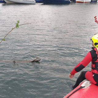 L'intervento in acqua dei vigili del fuoco sul lago Maggiore