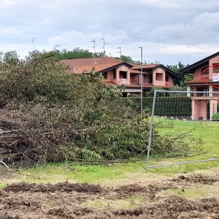 In via Lazio si è iniziato a lavorare, procedendo al taglio degli alberi