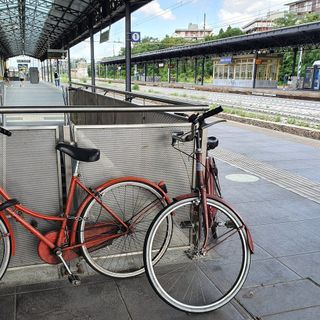 «Degrado alla stazione Fs di Busto». Il Codacons annuncia una diffida