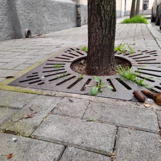 Via Caduti costellata di escrementi, proprio vicino alla scuola