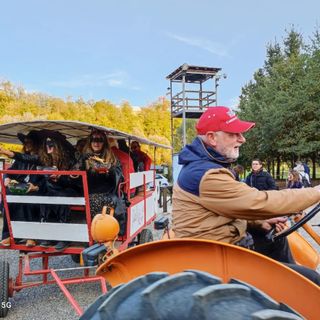 La festa d'autunno a Calipolis (foto tratte da facebook, pagina Calimali O.D.V.)