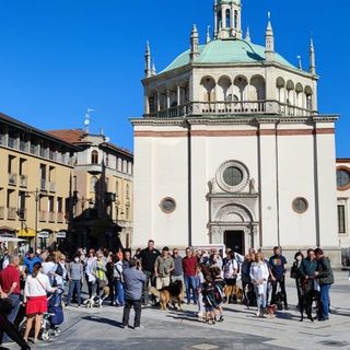 Alcune immagini della camminata a 6 zampe