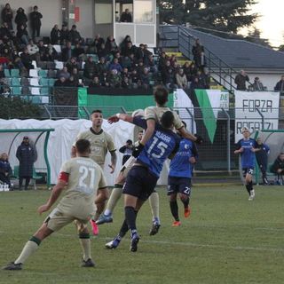 Foto ufficiale della Castellanzese