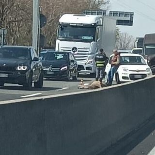 Foto dal gruppo Facebook &quot;Sei di Samarate se...&quot;