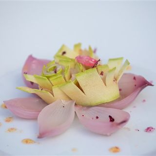 Itinerari di primavera tra mare e collina: Alassio, tra sentieri e nuovi modi di gustare i fiori in cucina