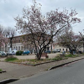 FOTO. A Fagnano prove di primavera