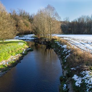(Foto Donatella Canavesi, gruppo Amici dell'Olona) (Foto Donatella Canavesi, gruppo Amici dell'Olona)