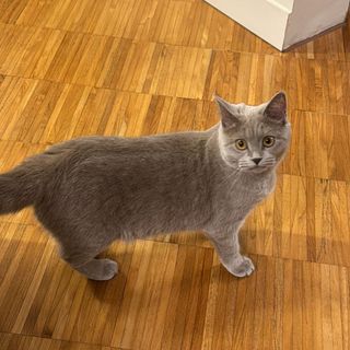 Ginny è stata ritrovata