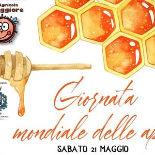 A Somma Lombardo apre un apiario didattico