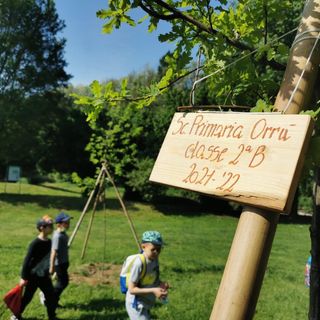 Fagnano, più di 300 alunni a Calipolis per la festa degli alberi. Ogni classe ne adotta uno