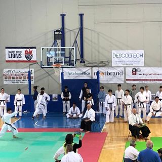 VIDEO. La crème del karate con 115 atleti al Paladrago