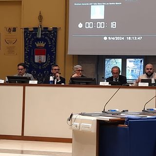L'audizione in sala consiliare