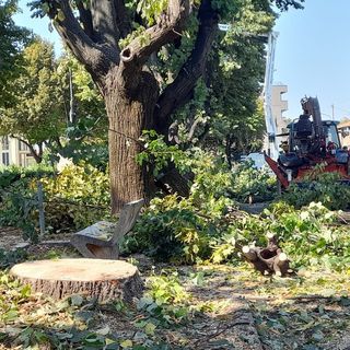 I primi abbattimenti in piazza XXV Aprile