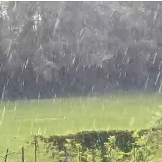 Un'immagine dal video di Elena Morosi