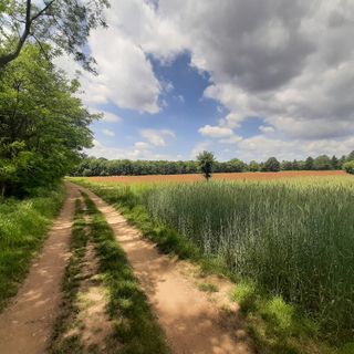 “Puliamo il Mondo” al Parco Alto Milanese