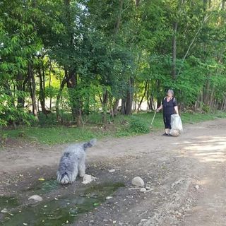 Il maltempo rinvia “Puliamo il Mondo” al Parco Alto Milanese