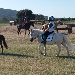 Due ori lombardi alle Ponyadi. Brillano i “piccoli” della Scuderia Esse Ci di Busto