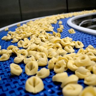 Lo Scoiattolo, un manifesto di sostenibilità e attenzione ai dipendenti: «Ecco un bilancio fatto di umanità, qualità e innovazione»