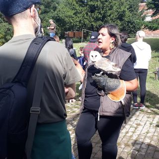 Nella giornata conclusiva, molto apprezzato lo spettacolo di falconeria