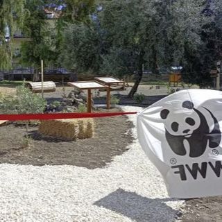 Un modello di Aula Natura: presto arriverà anche alla scuola primaria Pascoli in Canazza