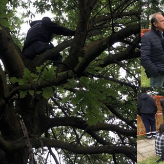 VIDEO. Due giorni di sospensione del cantiere e incontro in Comune. Gli attivisti scendono dagli alberi