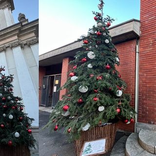 Aspettando le luci, Busto si colora di alberi