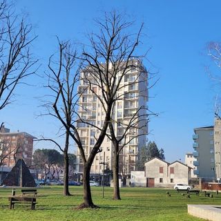Manutenzione straordinaria del verde pubblico a Castellanza: 200mila euro per potature e interventi sugli alberi
