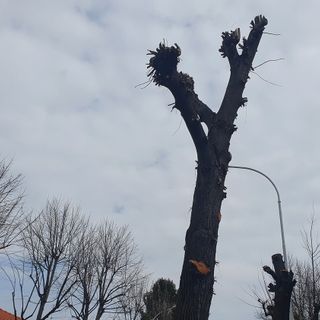 Potature, a Busto c’è anche chi ricorre al fai da te