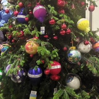 FOTO. A Castellanza l'albero per la pace è di tutti i bambini