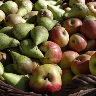 Dalla campagna i consigli detox per tornare in forma dopo le feste