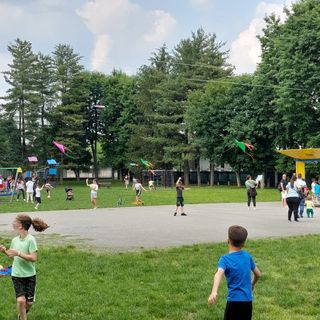 FOTO. Un successone l'edizione annuale di Aquiloni al Parco