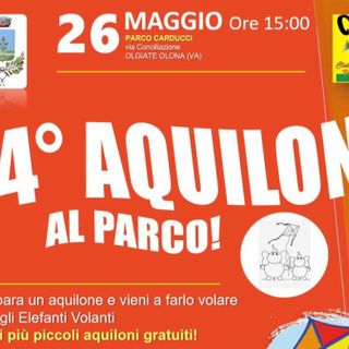 Con gli Elefanti Volanti, a Olgiate torna “Aquiloni al parco”