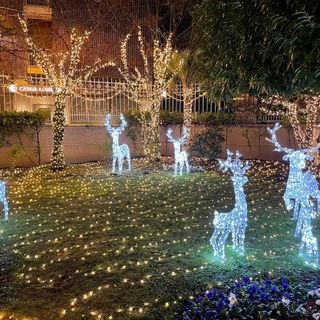 La magia del Natale prende casa, anzi luce a Busto Arsizio. VIDEO E FOTO