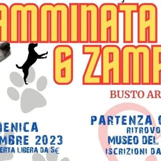 Una camminata a sei zampe. E anche benefica