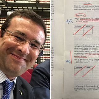 L'onorevole Candiani e l'emendamento presentato da Alleanza Verdi-Sinistra