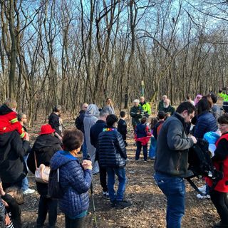 FOTO. A Marnate il Carnevale si festeggia nei boschi