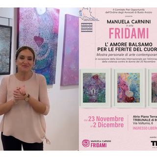 Manuela Carnini, Fridami, e la locandina dell'evento in tribunale