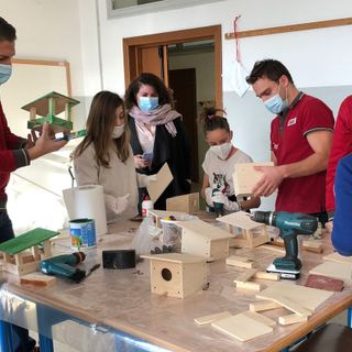 Olgiate, arrivano le casette per uccelli al parco Shapira Olgiate, arrivano le casette per uccelli al parco Shapira