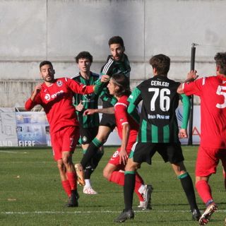 Castellanzese-Crema finisce senza gol
