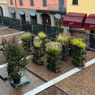 Via Cavallotti, arrivano le piante. Al lavoro sotto la pioggia